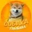 Канал Собака-улыбака | Собаки Юмор Животные