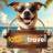 MAX-канал look4travel.ru