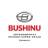 MAX-канал BUSHINUAUTO