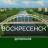 MAX-канал Воскресенск Онлайн