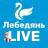MAX-канал Лебедянь LIVE