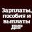 MAX-канал Зарплаты Выплаты и пособия ДНР — РФ