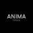 MAX-канал ANIMA fitness