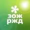 Канал ЗОЖ РЖД в MAX