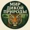 Канал Мир дикой природы в MAX