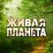 Канал Живая планета в MAX