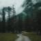 Канал Прогуляемся? в MAX