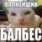 Стикеры Набор стикеров али$АСКовородка в MAX