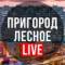 Канал Пригород Лесное LIVE в MAX