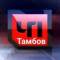 Канал ТАМБОВ. ПРОИСШЕСТВИЯ в MAX