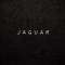Канал J A G U A R в MAX