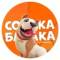 Канал Собака бабака в MAX