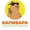Канал Капибара - клуб для детей и подростков в MAX