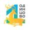 Канал Одинцово Оперативно в MAX