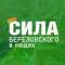 Канал Берëзовский. Сила_БГО (Свердловская область) в MAX