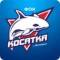 Канал МБУ "ФОК "КОСАТКА" г. Курильск в MAX
