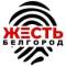Канал Жесть Белгород в MAX