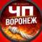 Канал Воронеж в MAX