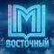 Канал ГБОУДО ДТДиМ "Восточный" в MAX