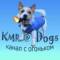 Канал KMR@Dogs-животные, смешные животные, смешные видео, юмор, птицы, собаки, кошки, обезьяны. в MAX