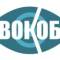 Канал БУЗ ВО "ВОКОБ" Воронежская областная клиническая офтальмологическая больница в MAX