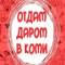 Канал ДАРОМ Коми в MAX