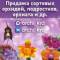 Канал Продажа сортовых орхидей, подростков, орхиаты и т.д. в MAX