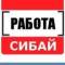Канал Работа Сибай в MAX