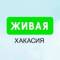 Канал Живая Хакасия | Абакан в MAX