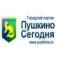 Канал Пушкино Сегодня в MAX