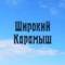 Канал Администрация Ширококарамышского сельского поселения Лысогорского муниципального района в MAX