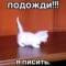 Стикеры ля в MAX