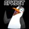 Стикеры Набор стикеров Пингвин в MAX