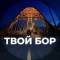Канал Твой Бор | tvoy-bor.ru в MAX