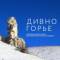 Канал Музей-заповедник «Дивногорье» в MAX