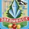 Канал Администрация города Закаменск в MAX