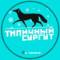 Канал Типичный Сургут в MAX
