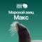 Канал Морской заяц Макс в MAX