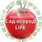 Канал Сад огород life в MAX