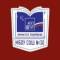 Канал МБОУ СОШ № 30 им.А.А.Сереброва пгт.Новомихайловский в MAX