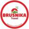 Канал BRUSNIKA TRAVEL в MAX