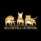 Канал ⚜️Golden Bulls Kennel⚜️ Американский Булли, Миниатюрный Бультерьр в MAX