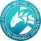 Канал MDdragon.group в MAX
