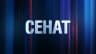 MAX-канал Сенат