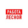 MAX-канал Работа Лесной