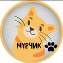 Канал Мурчик  /Котики/Пушистики/Животные/Юмор» в MAX
