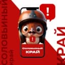 Канал Соловьиный край в MAX