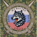 Канал БАЛТИЙСКИЕ ВОЛКИ в MAX