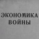 Канал Мобилизационная экономика в MAX