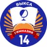 MAX-канал МБОУ Гимназия №14 им. С.С.Клиповой г.о.г. Выкса